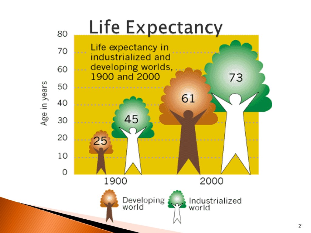 21 Life Expectancy